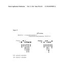 SUBSTITUTED NUCLEOSIDES, NUCLEOTIDES AND ANALOGS THEREOF diagram and image