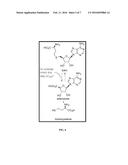 ENANTIOMERS OF THE 1 ,6 -ISOMER OF NEPLANOCIN A diagram and image