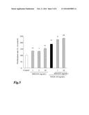 INTRAOCULAR ANGIOGENESIS INHIBITOR AND USES THEREOF diagram and image