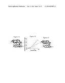 POLYPEPTIDES TARGETING VASCULAR ENDOTHELIAL GROWTH FACTOR RECEPTOR-2 AND     ALPHA V BETA 3 INTEGRIN diagram and image