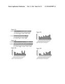 POLYPEPTIDES TARGETING VASCULAR ENDOTHELIAL GROWTH FACTOR RECEPTOR-2 AND     ALPHA V BETA 3 INTEGRIN diagram and image