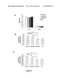 COMPOUNDS AND METHODS FOR TREATING OBESITY AND CONTROLLING WEIGHT diagram and image