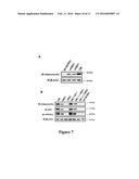 COMPOUNDS AND METHODS FOR TREATING OBESITY AND CONTROLLING WEIGHT diagram and image