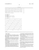 TRANSTHYRETIN ANTIBODIES AND USES THEREOF diagram and image