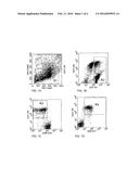 MONOCLONAL ANTIBODIES WITH SPECIFICITY FOR FETAL ERYTHROID CELLS diagram and image