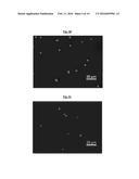 MONODISPERSE MICROSPHERES AND METHOD OF PREPARING SAME diagram and image