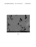 WELL DEFINED, HIGHLY CROSSLINKED NANOPARTICLES AND METHOD FOR MAKING SAME diagram and image