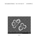 WELL DEFINED, HIGHLY CROSSLINKED NANOPARTICLES AND METHOD FOR MAKING SAME diagram and image