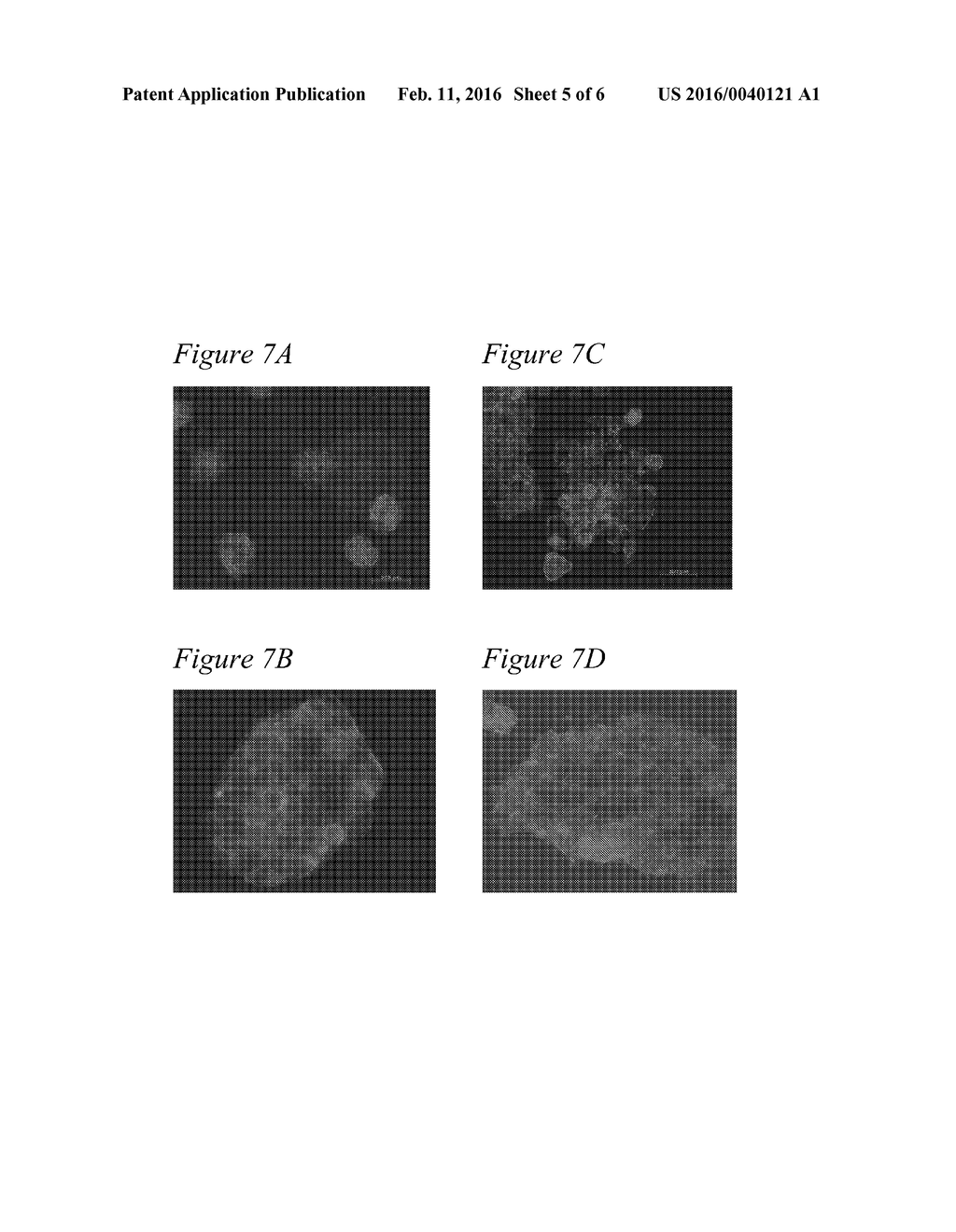 THERMALLY RESPONSIVE CELL CULTURE SURFACES - diagram, schematic, and image 06