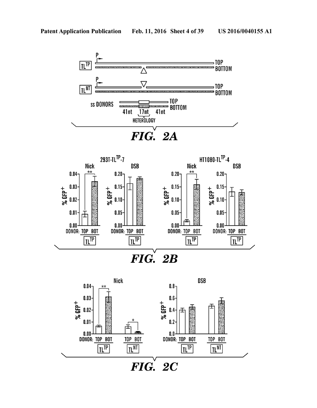 ACTIVATING AN ALTERNATIVE PATHWAY FOR HOMOLOGY-DIRECTED REPAIR TO     STIMULATE TARGETED GENE CORRECTION AND GENOME ENGINEERING - diagram, schematic, and image 05