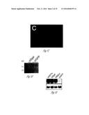 siRNA-MEDIATED GENE SILENCING diagram and image