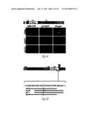 siRNA-MEDIATED GENE SILENCING diagram and image