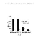 siRNA-MEDIATED GENE SILENCING diagram and image