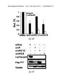 siRNA-MEDIATED GENE SILENCING diagram and image