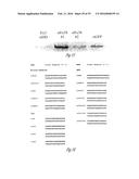 siRNA-MEDIATED GENE SILENCING diagram and image