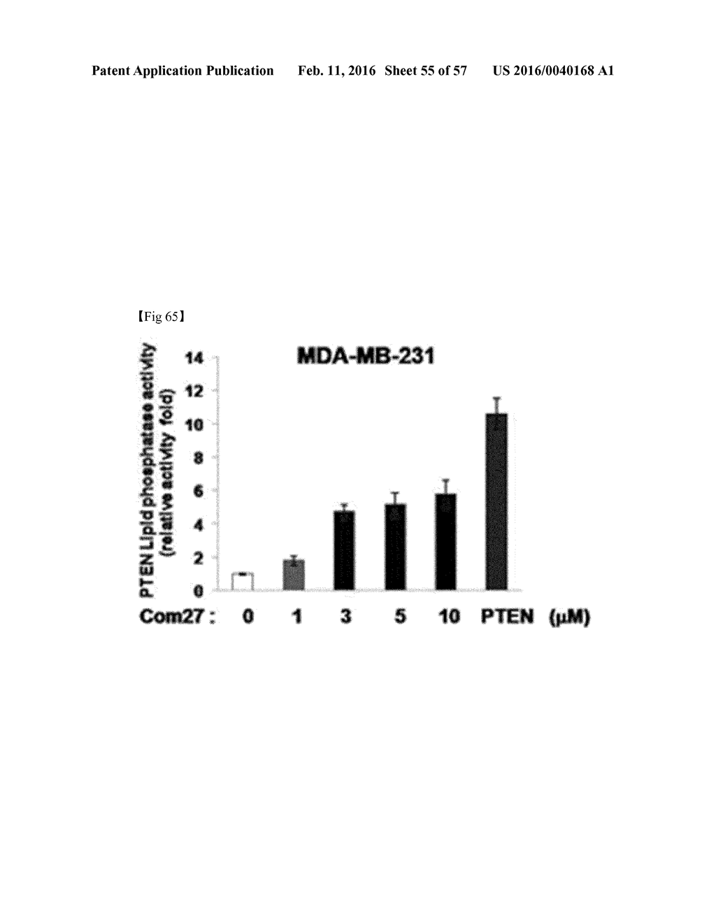 Composition for Treatment or Metastasis Suppression of Cancers Which     Includes P34 Expression Inhibitor or Activity Inhibitor as Active     Ingredient - diagram, schematic, and image 56