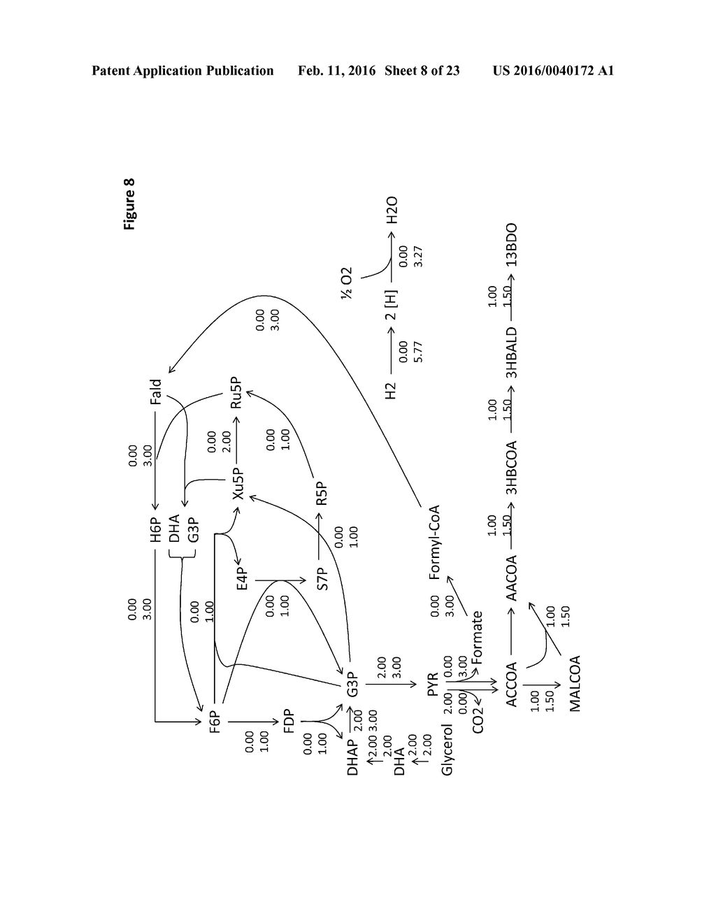 MICROORGANISMS AND METHODS FOR PRODUCING BUTADIENE AND RELATED COMPOUNDS     BY FORMATE ASSIMILATION - diagram, schematic, and image 09