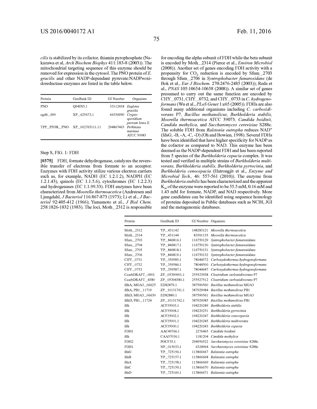 MICROORGANISMS AND METHODS FOR PRODUCING BUTADIENE AND RELATED COMPOUNDS     BY FORMATE ASSIMILATION - diagram, schematic, and image 99