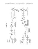 PRODUCTION OF ISOPRENOIDS diagram and image