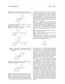 Biocatalytic Transamination Process diagram and image