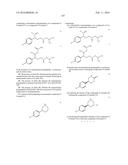 Biocatalytic Transamination Process diagram and image