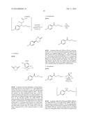 Biocatalytic Transamination Process diagram and image