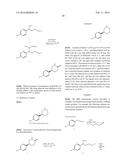 Biocatalytic Transamination Process diagram and image