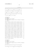 Biocatalytic Transamination Process diagram and image