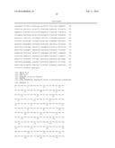 Biocatalytic Transamination Process diagram and image