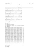 Biocatalytic Transamination Process diagram and image