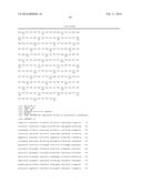 Biocatalytic Transamination Process diagram and image