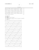 Biocatalytic Transamination Process diagram and image