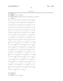 Biocatalytic Transamination Process diagram and image