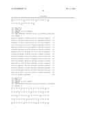 Biocatalytic Transamination Process diagram and image