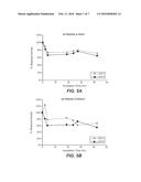 METHOD OF USING ALPHA-AMYLASE FROM ASPERGILLUS FUMIGATUS AND PULLULANASE     FOR SACCHARIFICATION diagram and image