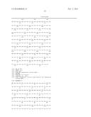 METHOD OF USING ALPHA-AMYLASE FROM ASPERGILLUS FUMIGATUS AND PULLULANASE     FOR SACCHARIFICATION diagram and image