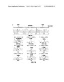 TERT PROMOTER MUTATIONS IN CANCER diagram and image