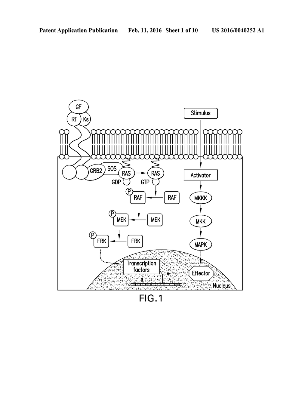 METHODS AND COMPOSITIONS FOR TREATING CANCER - diagram, schematic, and image 02