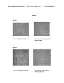 METHOD FOR TREATING A SUBSTRATE MADE OF ANIMAL FIBERS WITH SOLID PARTICLES     AND A CHEMICAL FORMULATION diagram and image