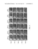 SURFACE HARDENABLE STAINLESS STEELS diagram and image