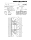 FERROFLUID TOOL FOR ENHANCING MAGNETIC FIELDS IN A WELLBORE diagram and image