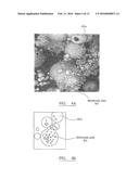 BIOMASS COMBUSTION diagram and image