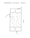 SEMICONDUCTOR BIOSENSOR AND CONTROL METHOD THEREOF diagram and image