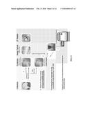 METHODS AND KITS FOR THE DIAGNOSIS OF INFLUENZA diagram and image