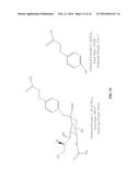 METHODS AND KITS FOR THE DIAGNOSIS OF INFLUENZA diagram and image