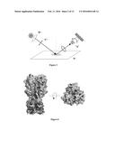 ARRAYED DETECTOR SYSTEM FOR MEASUREMENT OF INFLUENZA IMMUNE RESPONSE diagram and image