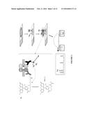 SYSTEMS AND METHODS FOR FACILITATING DIAGNOSIS, PROGNOSIS AND TREATMENT OF     CANCER BASED ON DETECTION OF HER3 ACTIVATION diagram and image