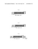 COMPOSITION FOR DETECTION OR DIAGNOSIS OF DISEASES CONTAINING     TRANSCRIPTION ACTIVATOR-LIKE EFFECTOR diagram and image