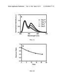 COMPOSITIONS AND METHODS FOR MAKING AND USING OXYGEN SENSING NANOFIBERS     AND SCAFFOLDS diagram and image