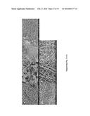 COMPOSITIONS AND METHODS FOR MAKING AND USING OXYGEN SENSING NANOFIBERS     AND SCAFFOLDS diagram and image